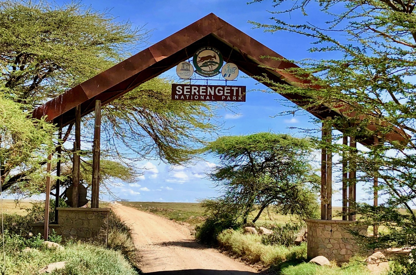Serengeti National Park Safari